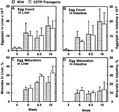 HDL Receptor in Schistosoma japonicum Mediating Egg Embryonation: Potential Molecular Basis for High Prevalence of Cholesteryl Ester Transfer Protein Deficiency in East Asia